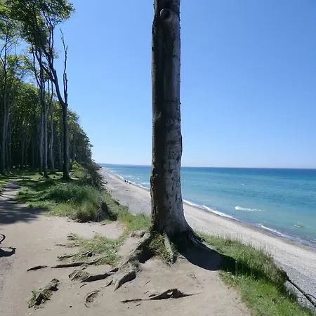 Altes Forsthaus * Nienhagen