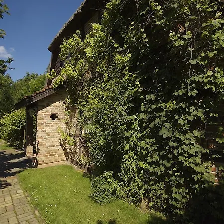 Ferienpark Altes Forsthaus - Ferienanlage Nienhagen